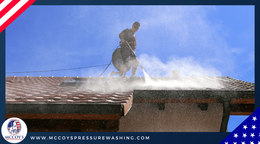 roof soft cleaning