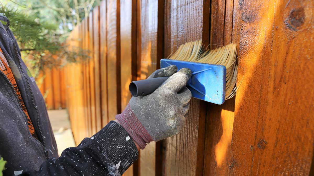 staining fence