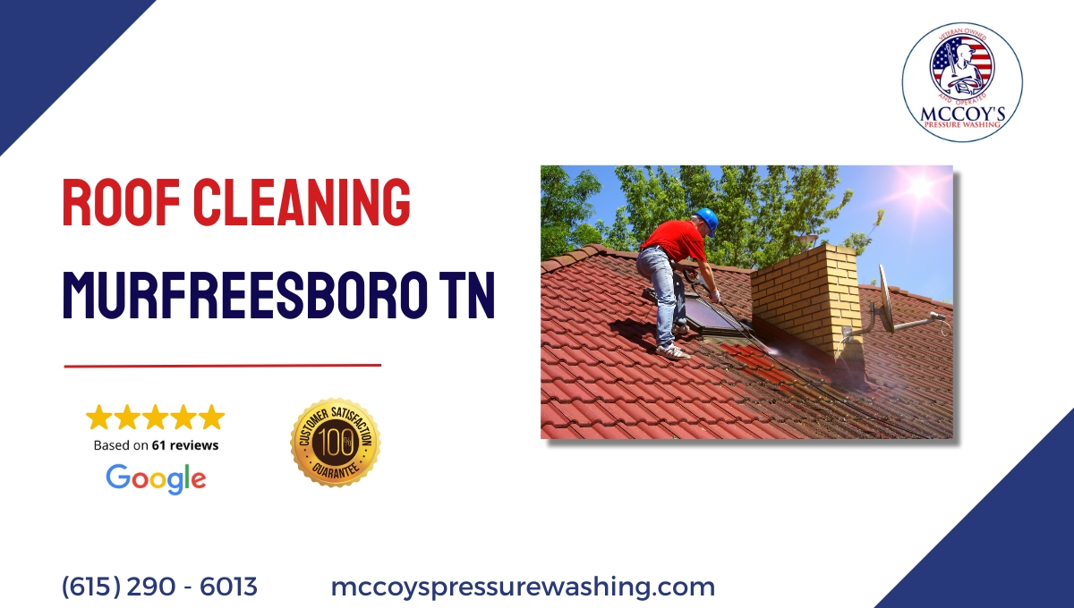 roof cleaning murfreesboro tn