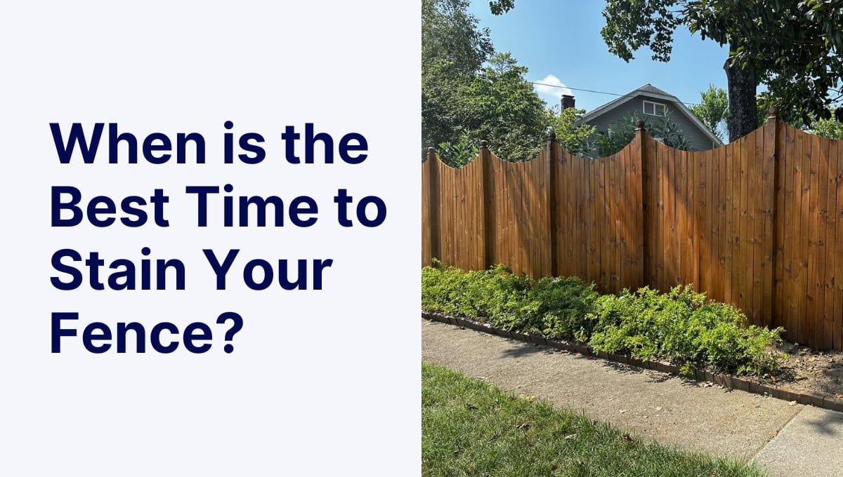 best time to stain your fence