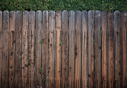 before fence cleaning