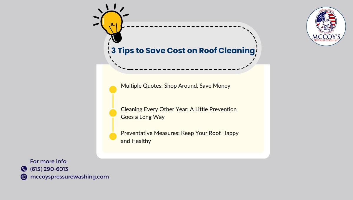 tips for roof cleaning cost