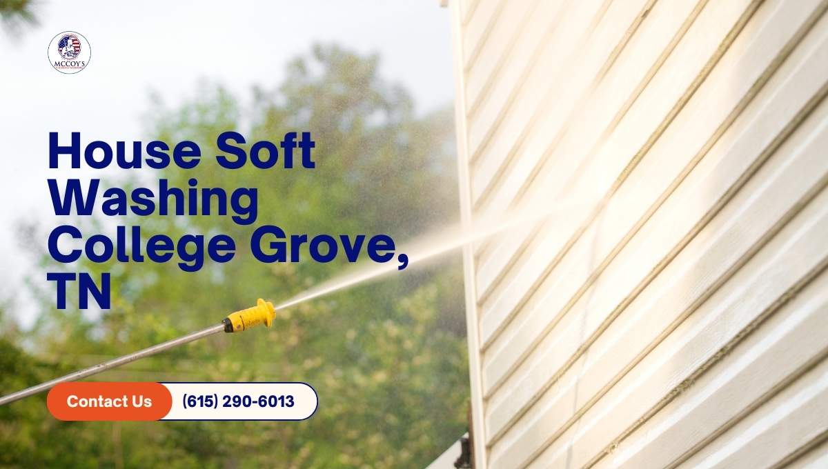 house soft washing college grove