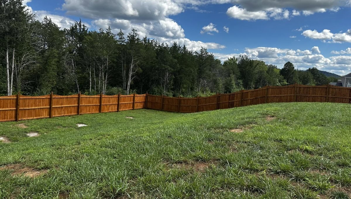 when to stain fence